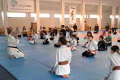 9.-poza-in-articol